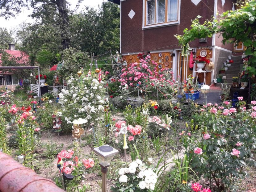  - IMAGINI MIXTE GRADINA 2017