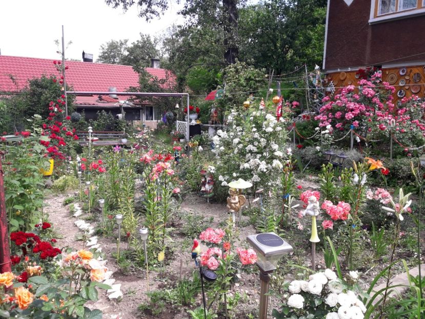  - IMAGINI MIXTE GRADINA 2017