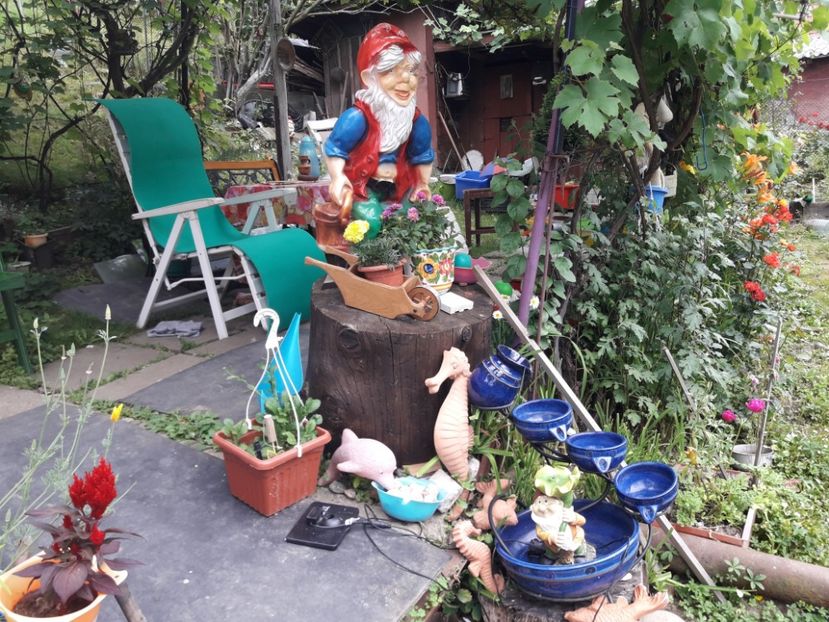  - IMAGINI MIXTE GRADINA 2017