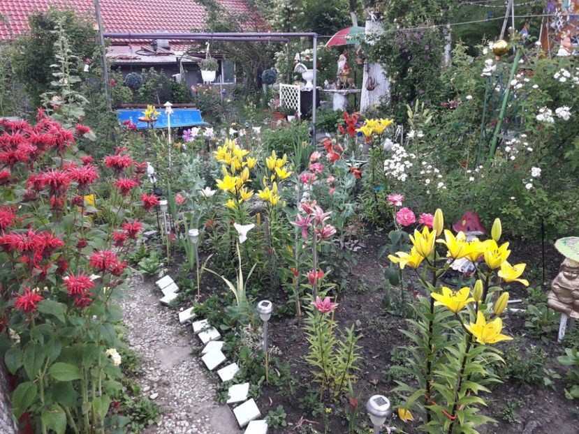  - IMAGINI MIXTE GRADINA 2017