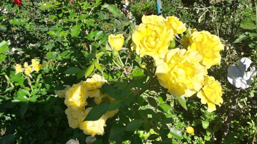 20170914_161604_Richtone(HDR) - ADSON VON MELK