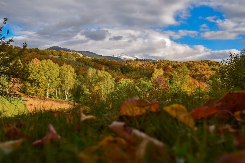  - Frumusetea toamnei