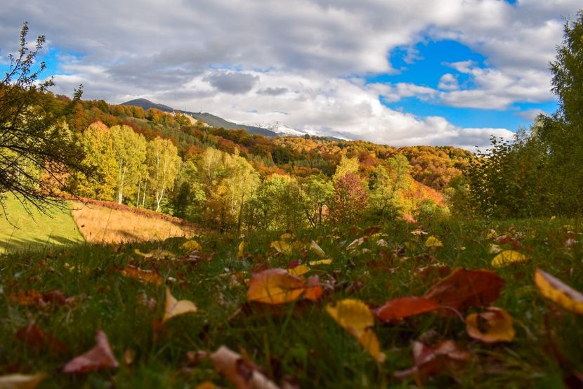  - Frumusetea toamnei