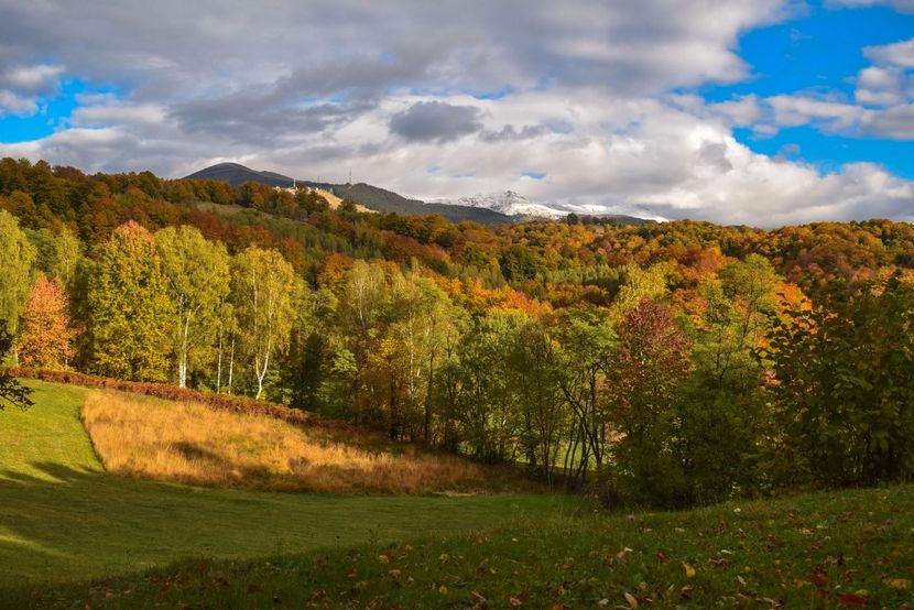  - Frumusetea toamnei