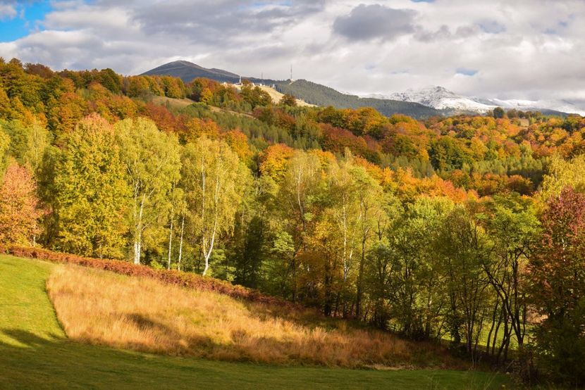  - Frumusetea toamnei