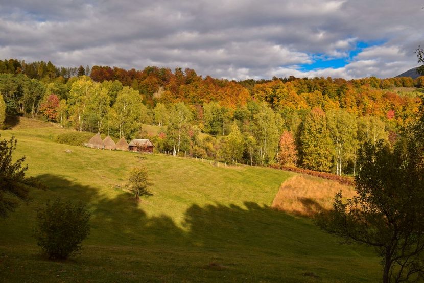  - Frumusetea toamnei