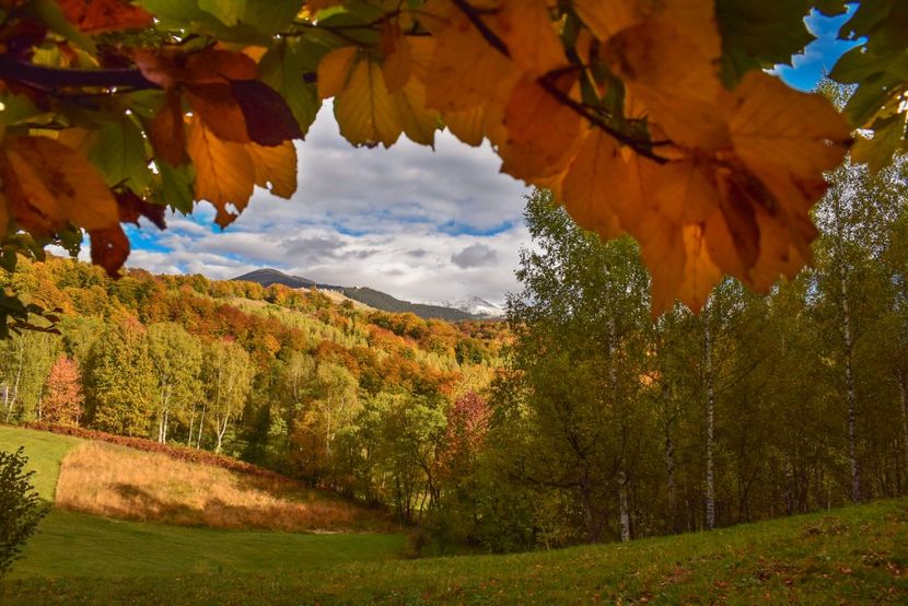  - Frumusetea toamnei