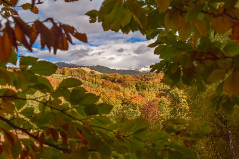  - Frumusetea toamnei