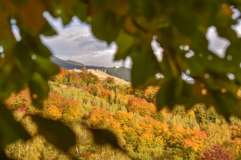  - Frumusetea toamnei