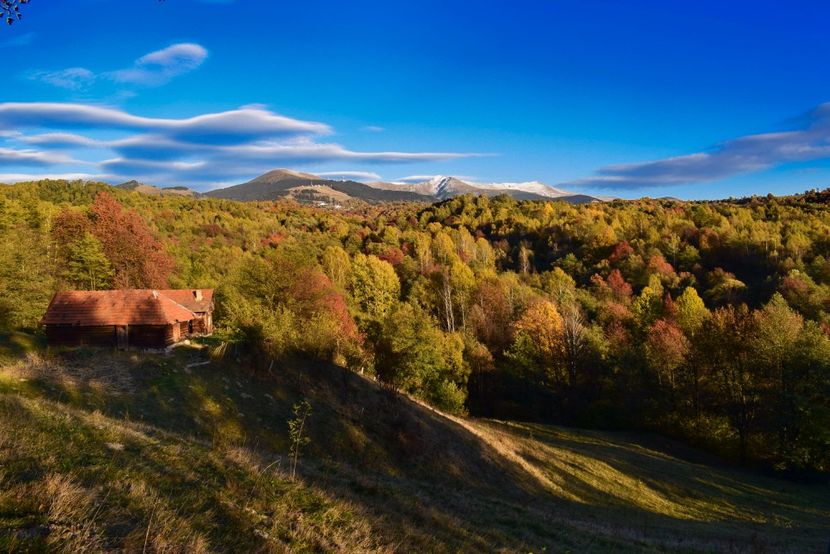  - Frumusetea toamnei