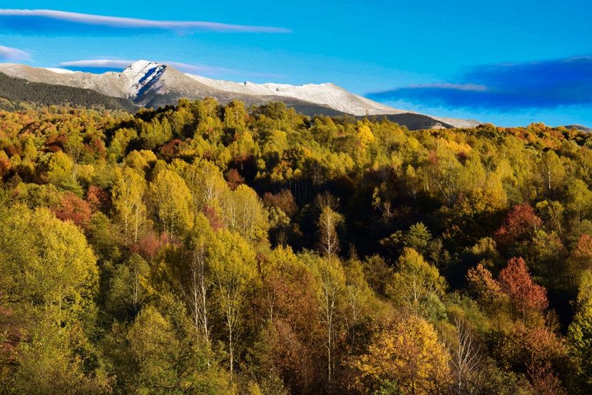  - Frumusetea toamnei