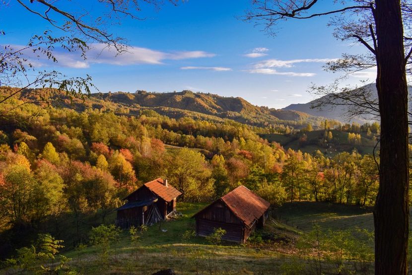  - Frumusetea toamnei