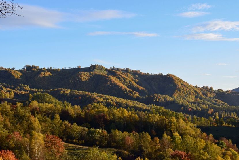  - Frumusetea toamnei