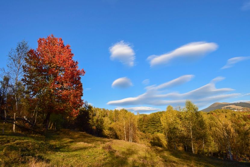  - Frumusetea toamnei