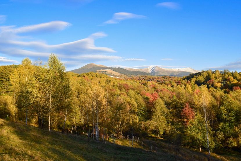  - Frumusetea toamnei