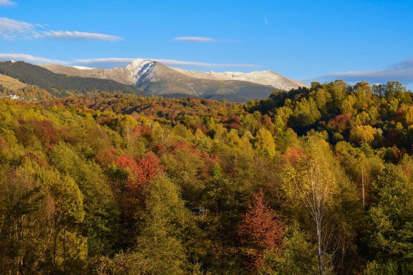  - Frumusetea toamnei