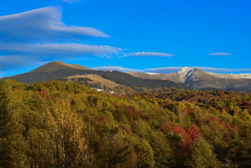  - Frumusetea toamnei