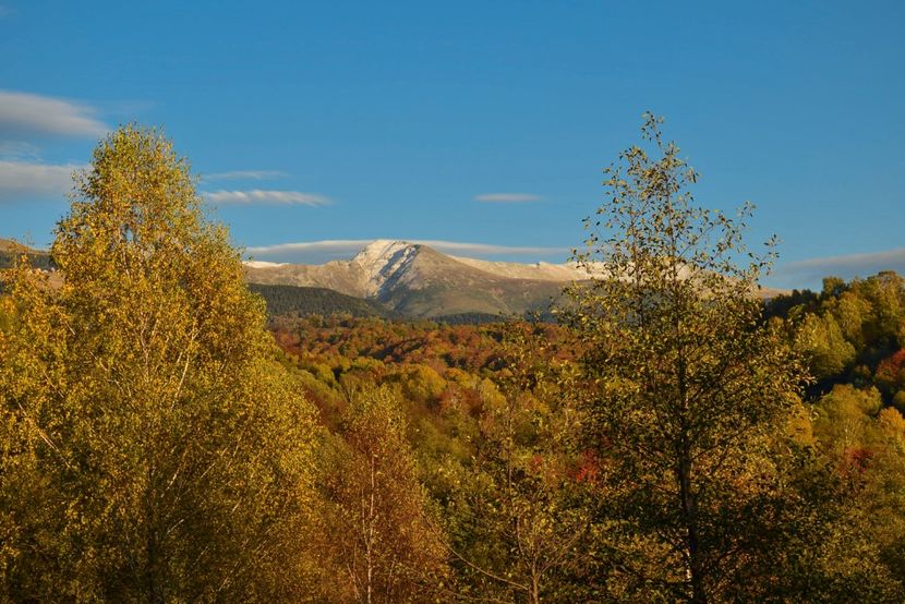  - Frumusetea toamnei