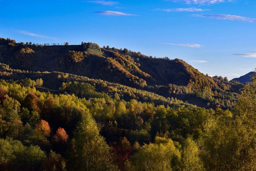  - Frumusetea toamnei