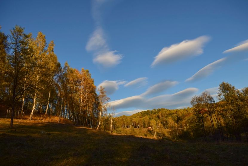  - Frumusetea toamnei