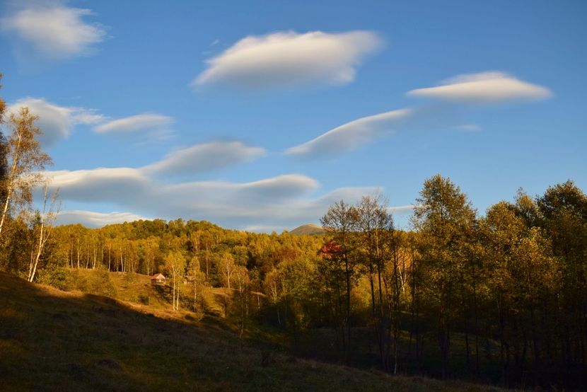  - Frumusetea toamnei