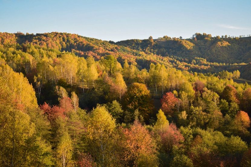  - Frumusetea toamnei