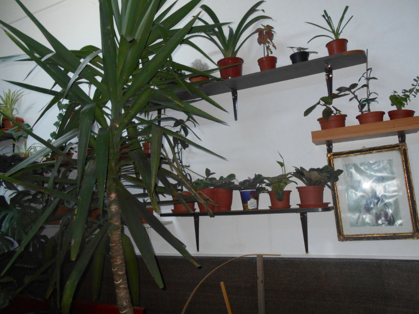  - Green office