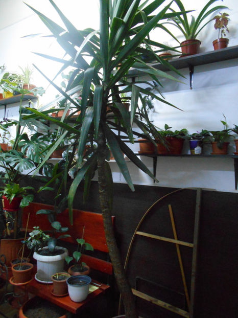  - Green office