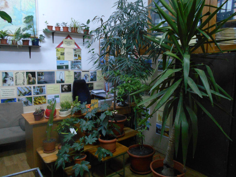  - Green office