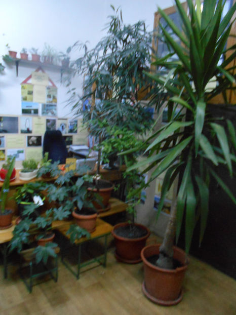  - Green office