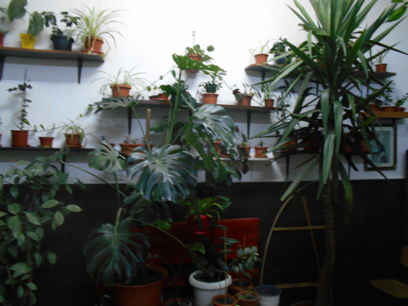  - Green office