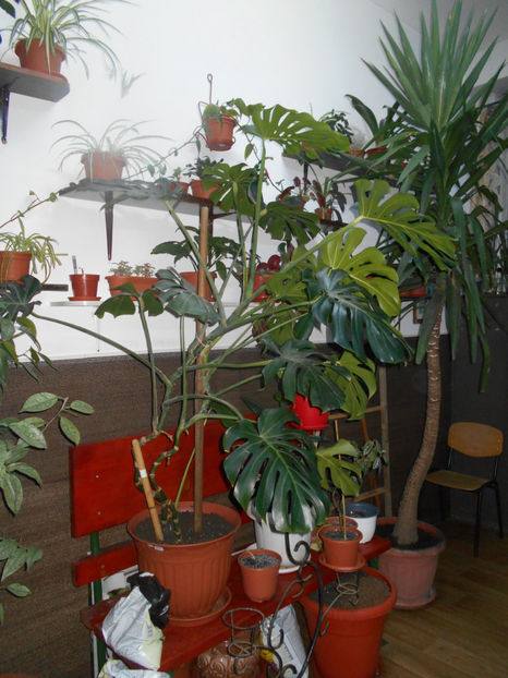  - Green office