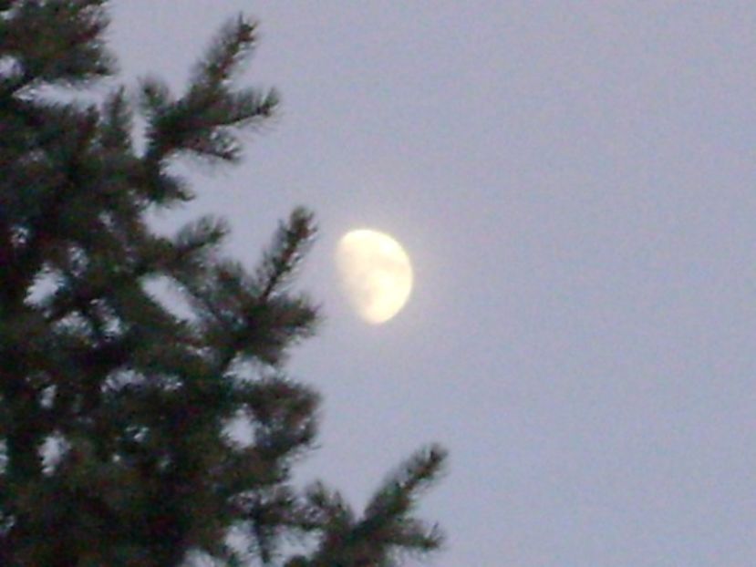 Luna in crestere in Berbec - Luna - Soarele si norii - 1