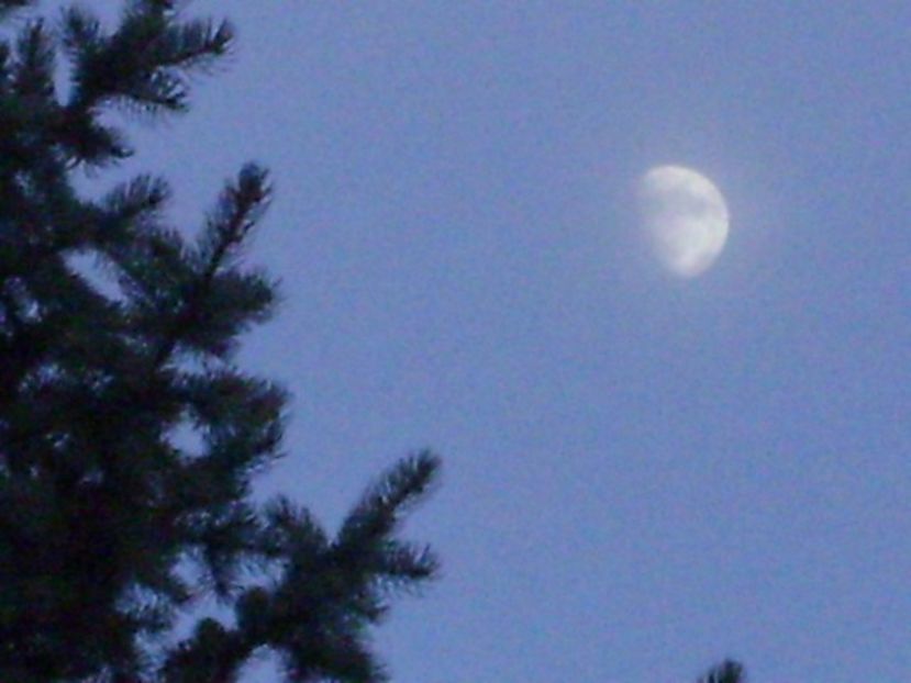 Luna in crestere in Berbec - Luna - Soarele si norii - 1