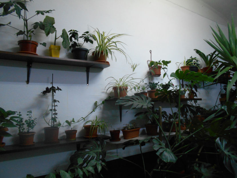  - Green office