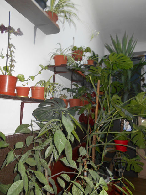  - Green office