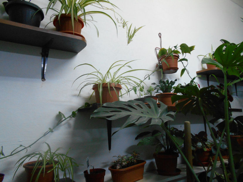  - Green office