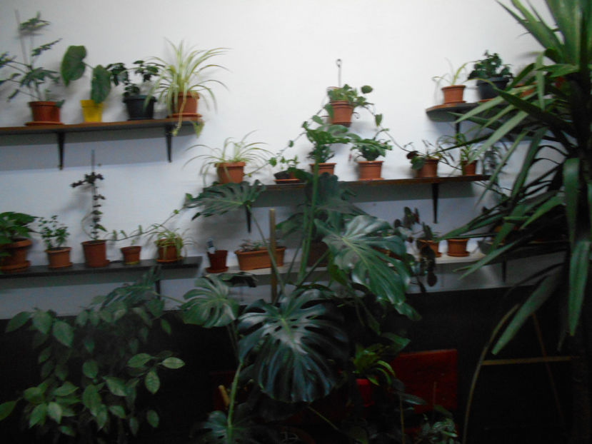  - Green office