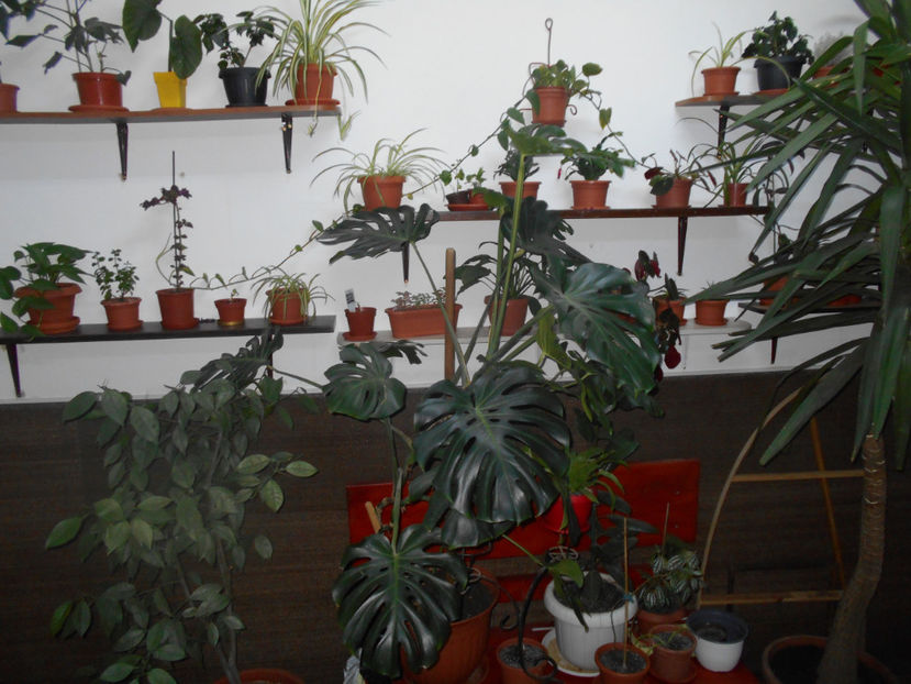  - Green office