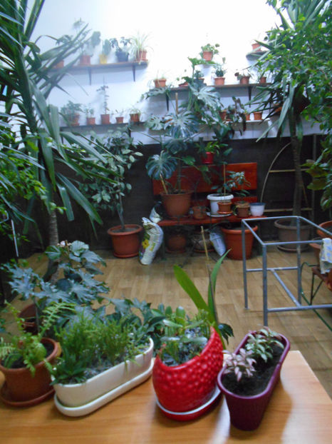 - Green office