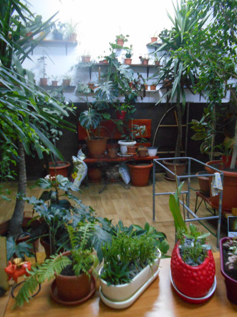  - Green office