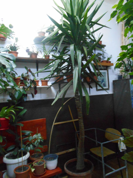  - Green office