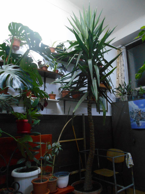  - Green office