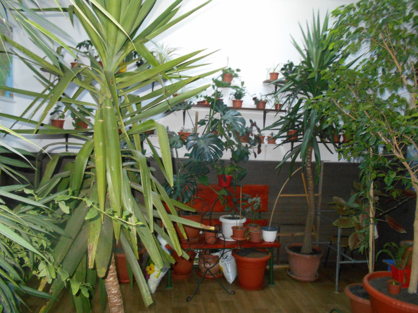  - Green office