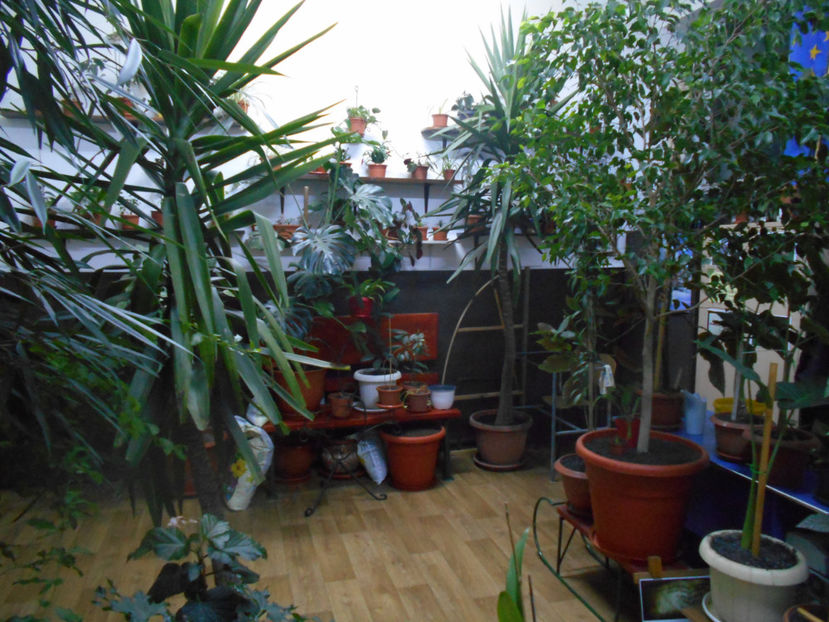  - Green office