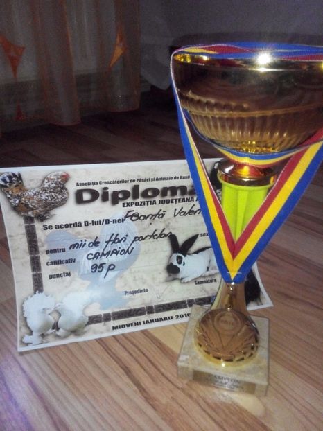 Mioveni ian. 2016 - Rezultate