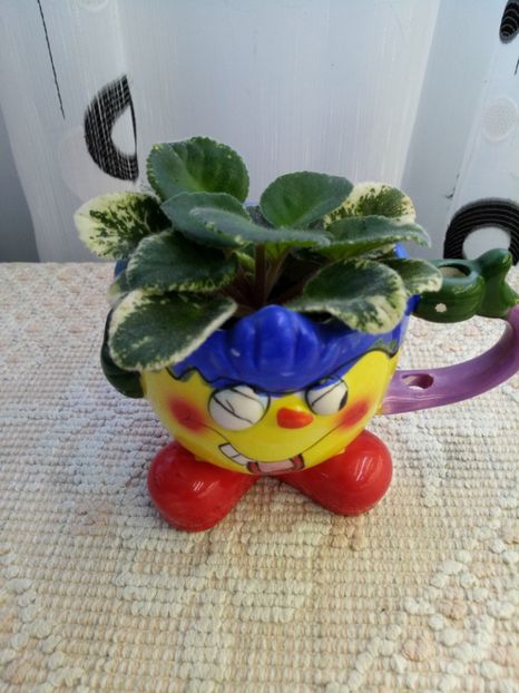 29 nov - ZZ Ian Bokal