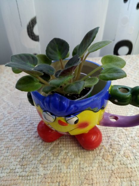 29 nov - ZZ Rob s Dust Storm