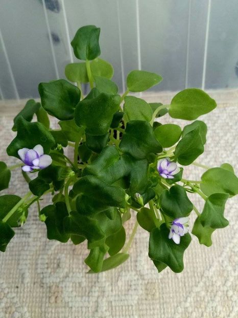 26 nov - Rob s Humpty Doo