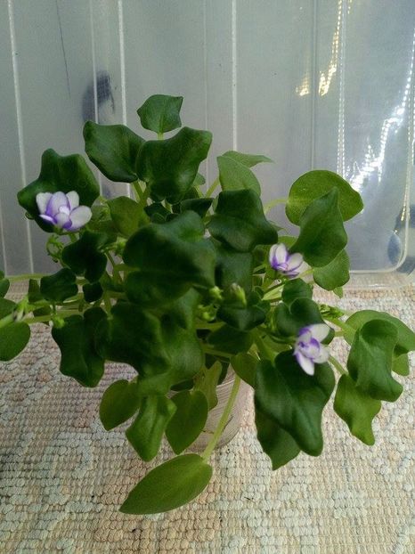 26 nov - Rob s Humpty Doo